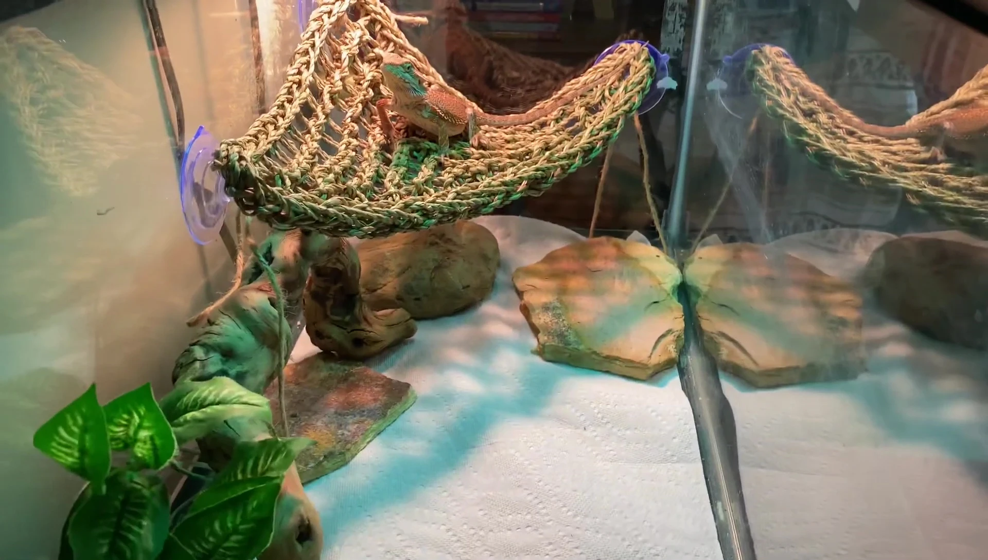 Price tag of the seagrass hammock