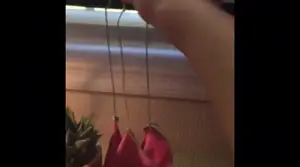 DIY Bearded Dragon Hammock: The String Method