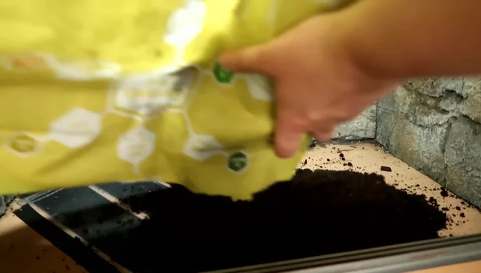 Replace decorations, water dish, and calcium dish.