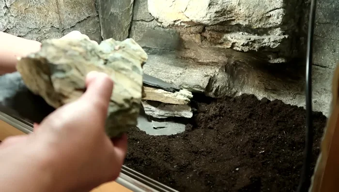 Replace decorations, water dish, and calcium dish.