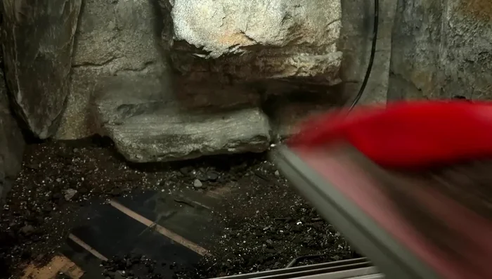 Remove the substrate. If using a bioactive substrate, this step is usually only necessary once or twice a year. Spot clean frequently in between full substrate changes.