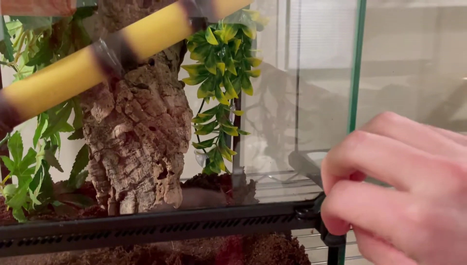 The reviewer successfully opens the Reptizoo terrarium with one hand (after some struggle).