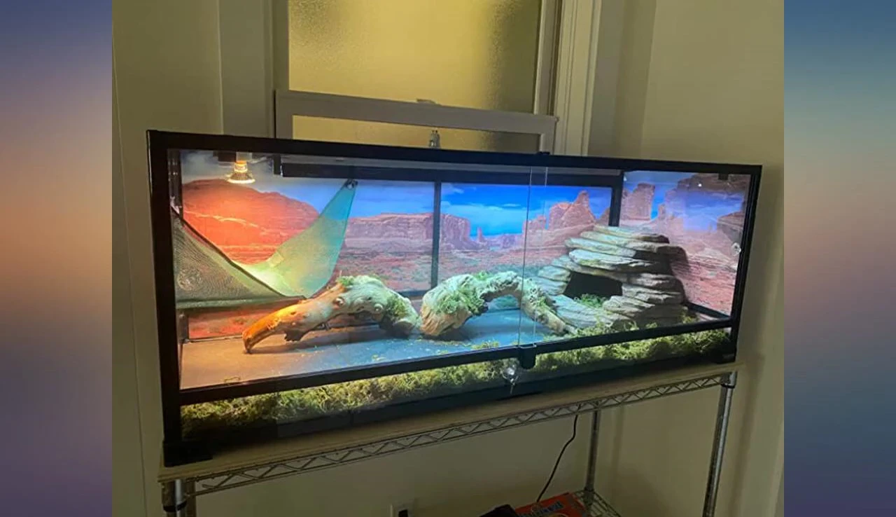 The background being applied to the terrarium, showing ease of application