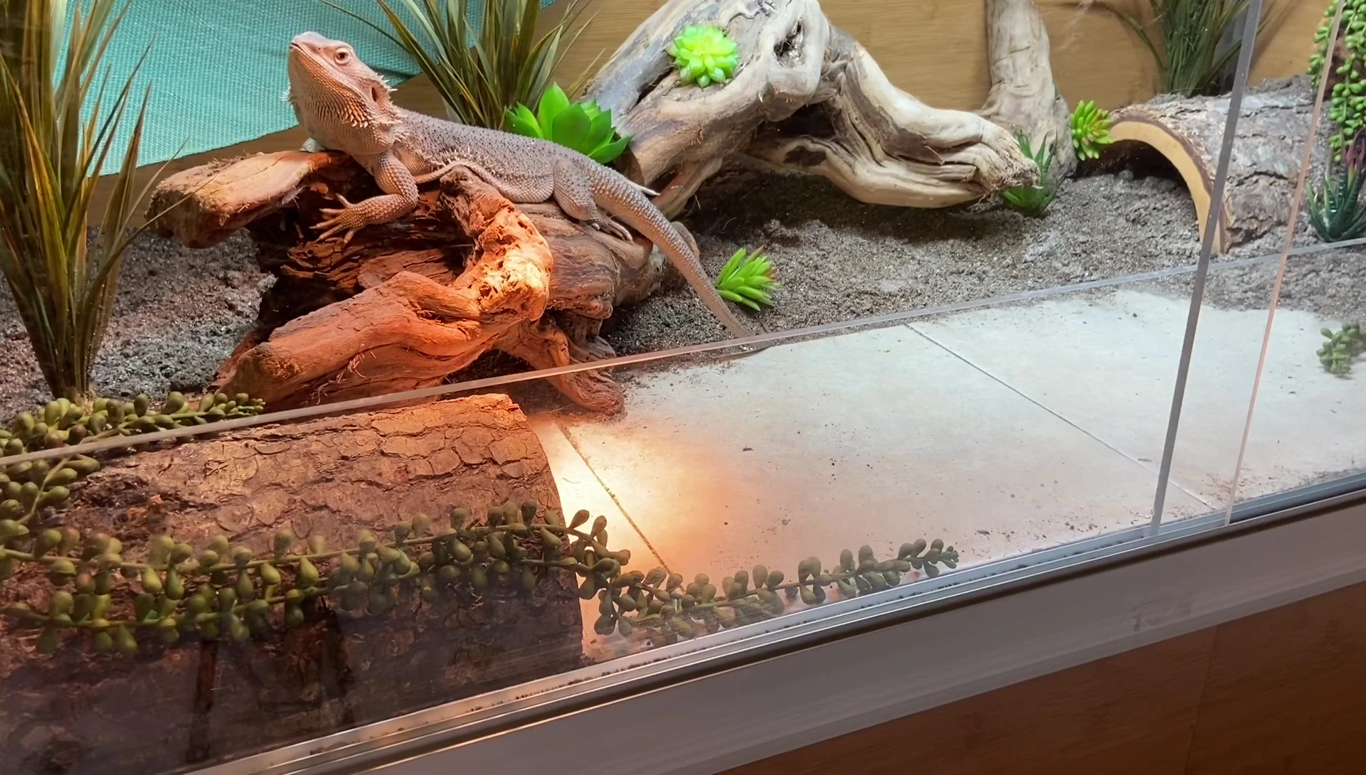 Close-up of the tile and substrate floor