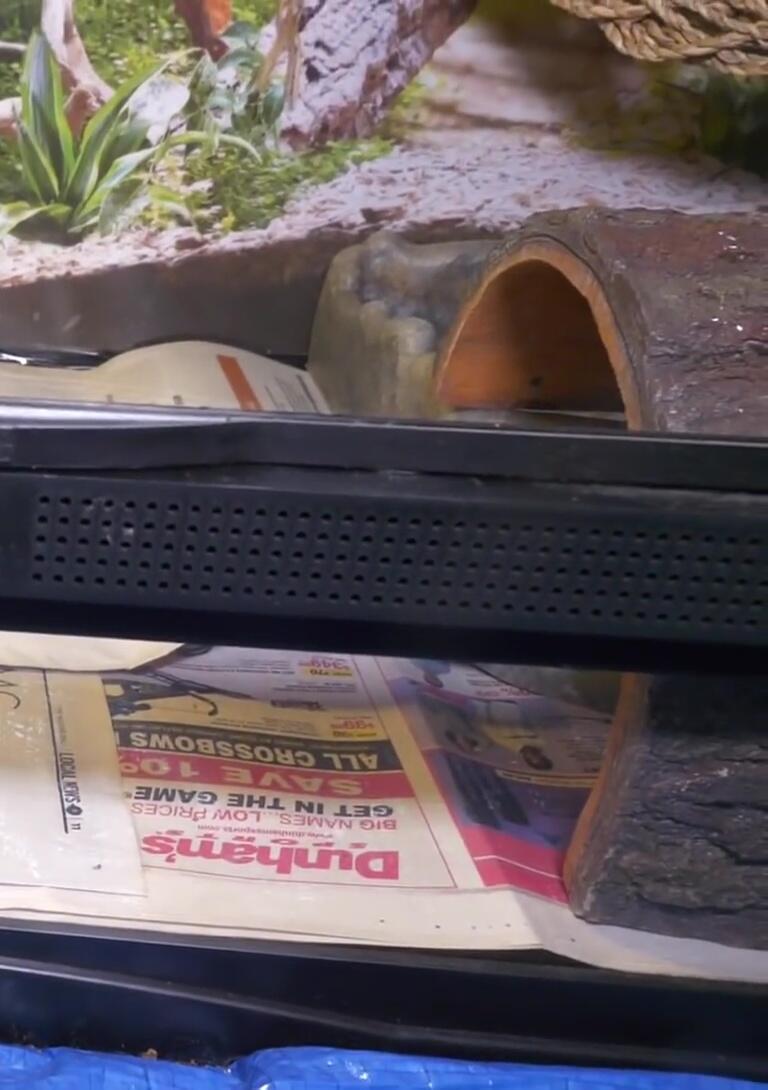 Close-up of the individual latches on the Zoo Med tank doors.