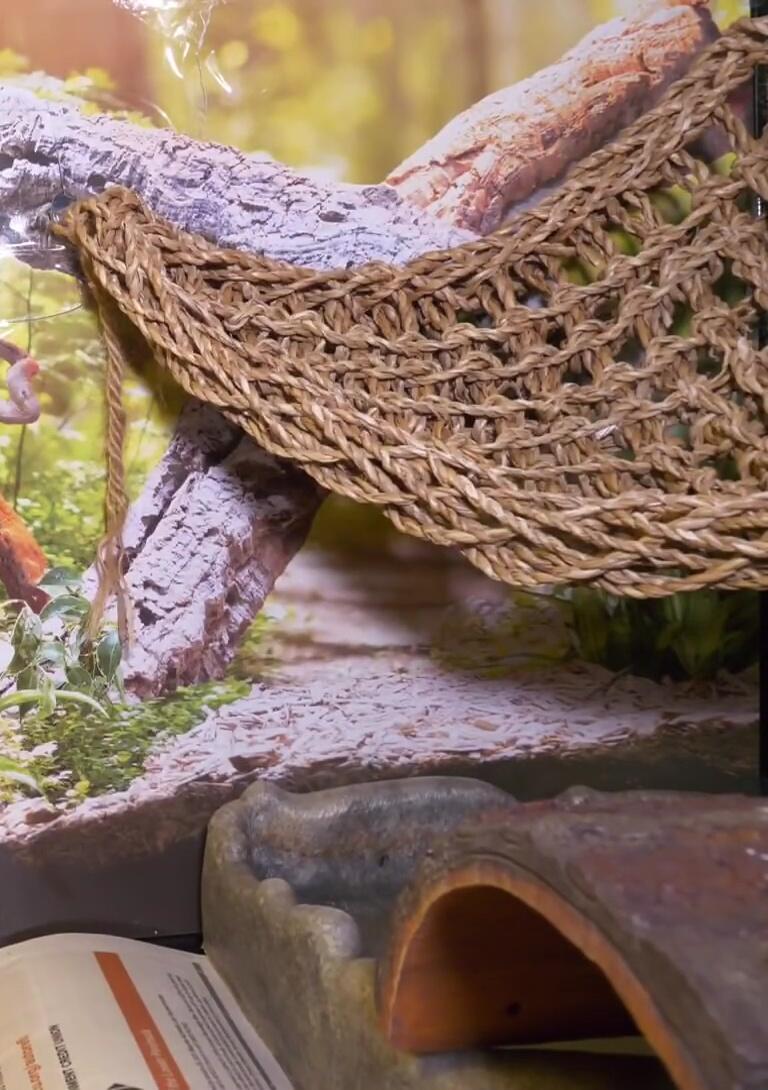 The included backdrop inside the Zoo Med tank.