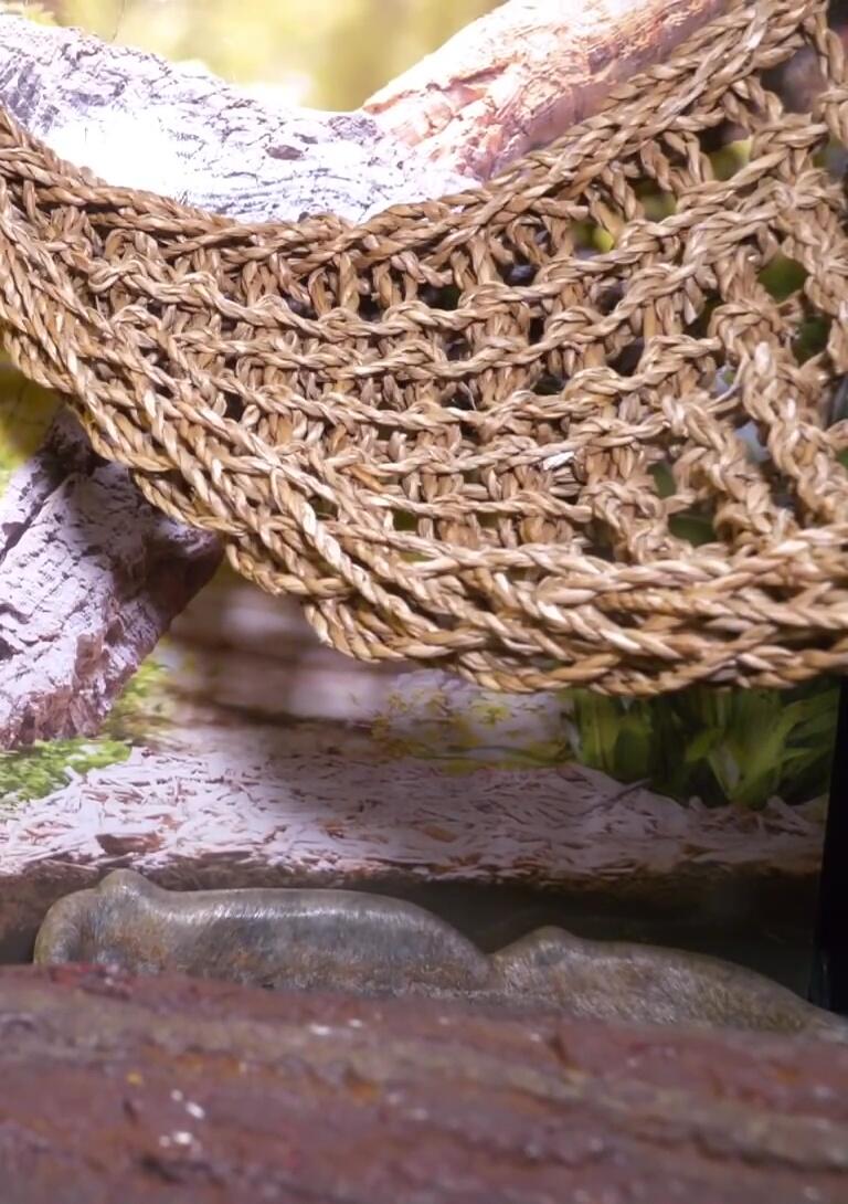 The glued backdrop inside the Zoo Med tank