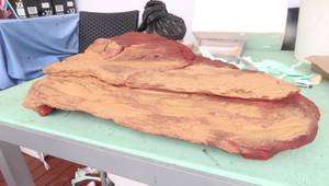 DIY Realistic Reptile Rock Hides: A Step-by-Step Guide