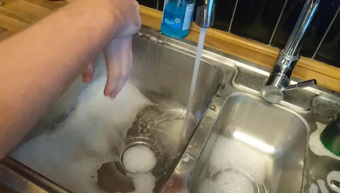 Dispose of uneaten food: Do not feed any food that has been in contact with quarantine animals to your main collection.