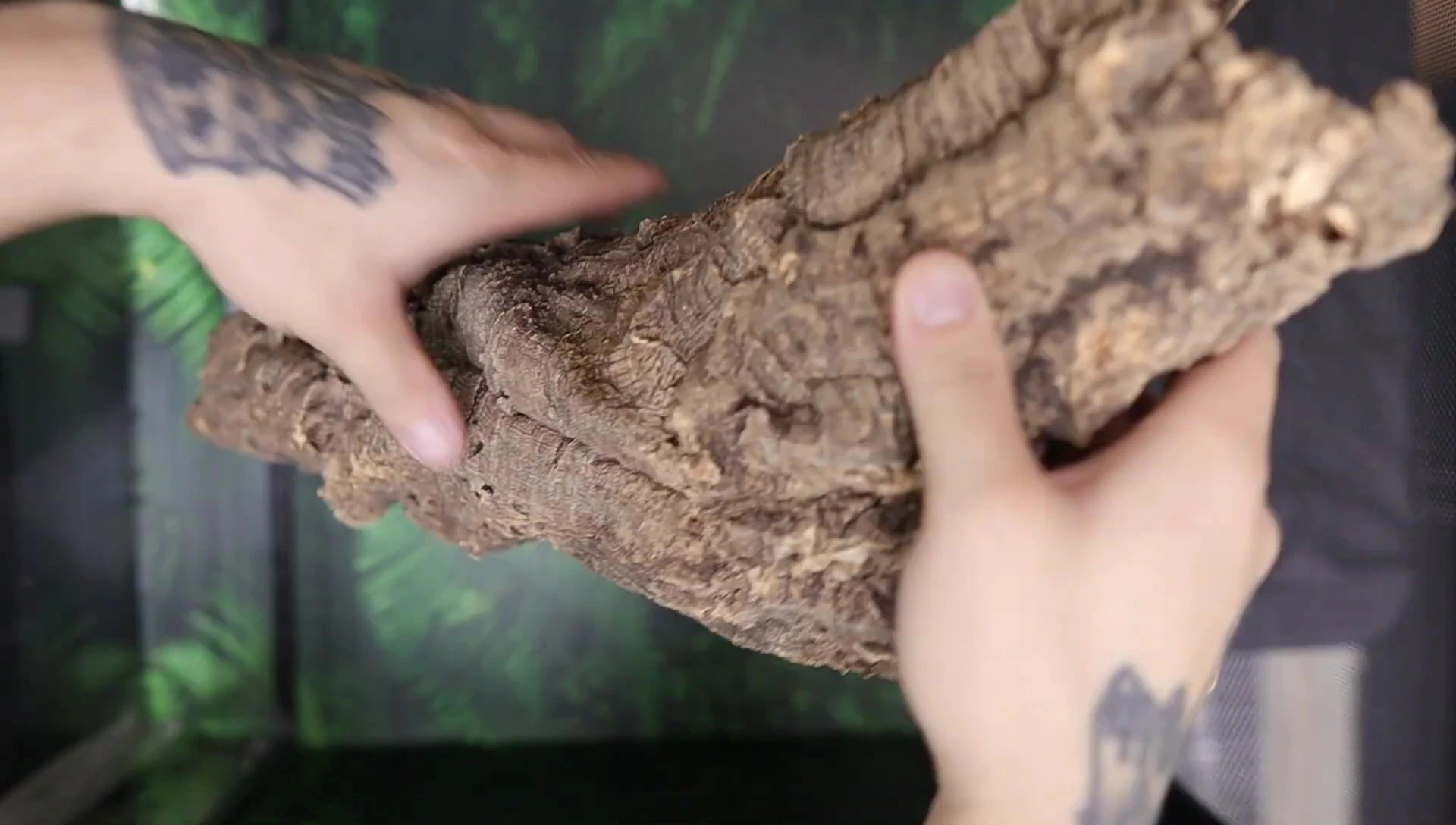 Cork bark being placed and secured with screws.