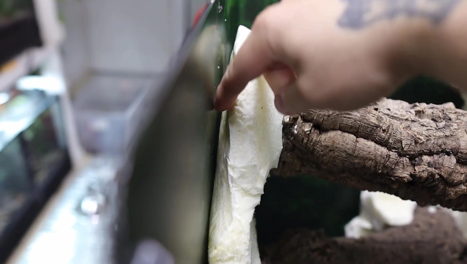 Expanding foam peeling from the walls.