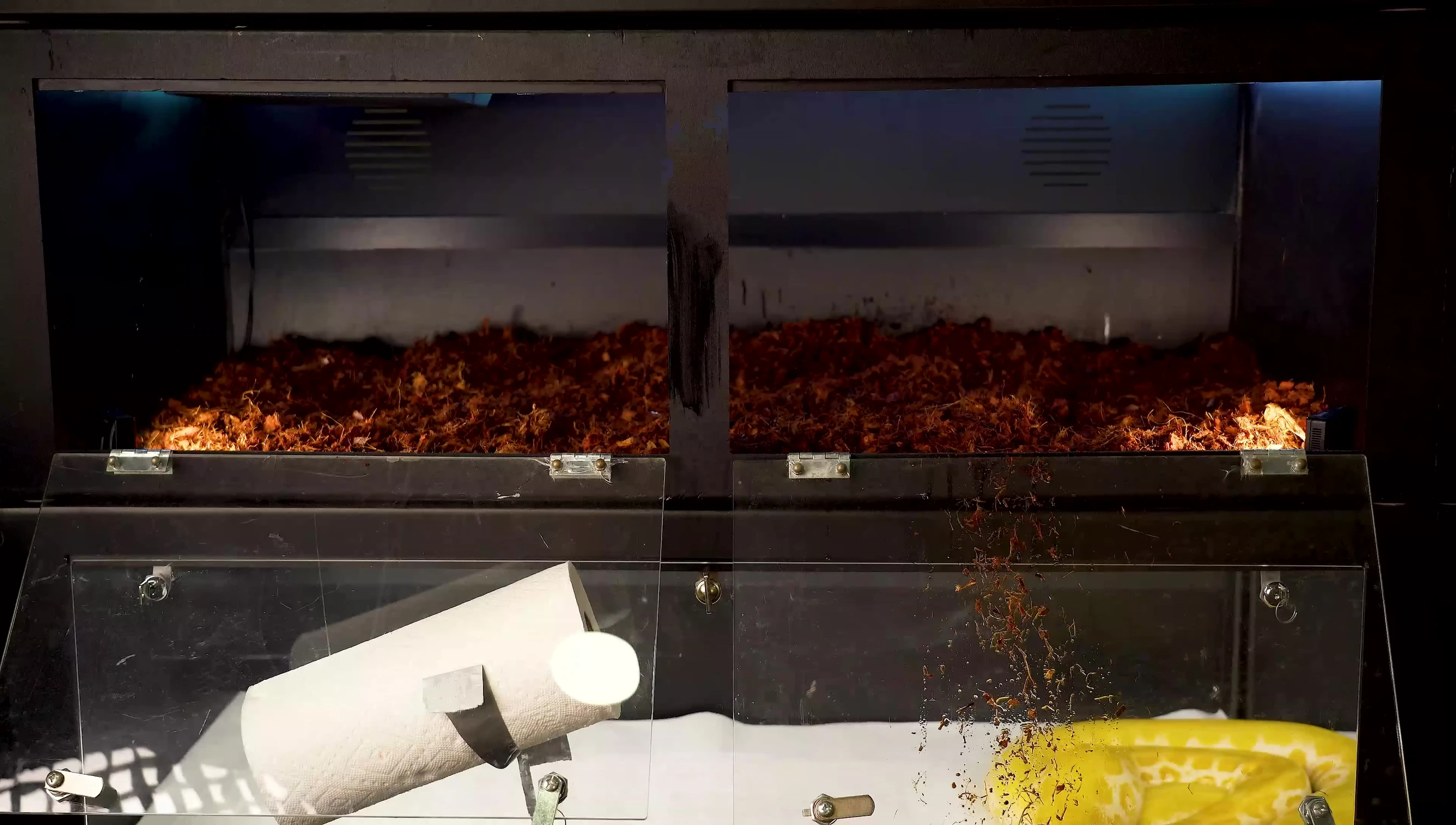 Substrate evenly distributed in the enclosure.