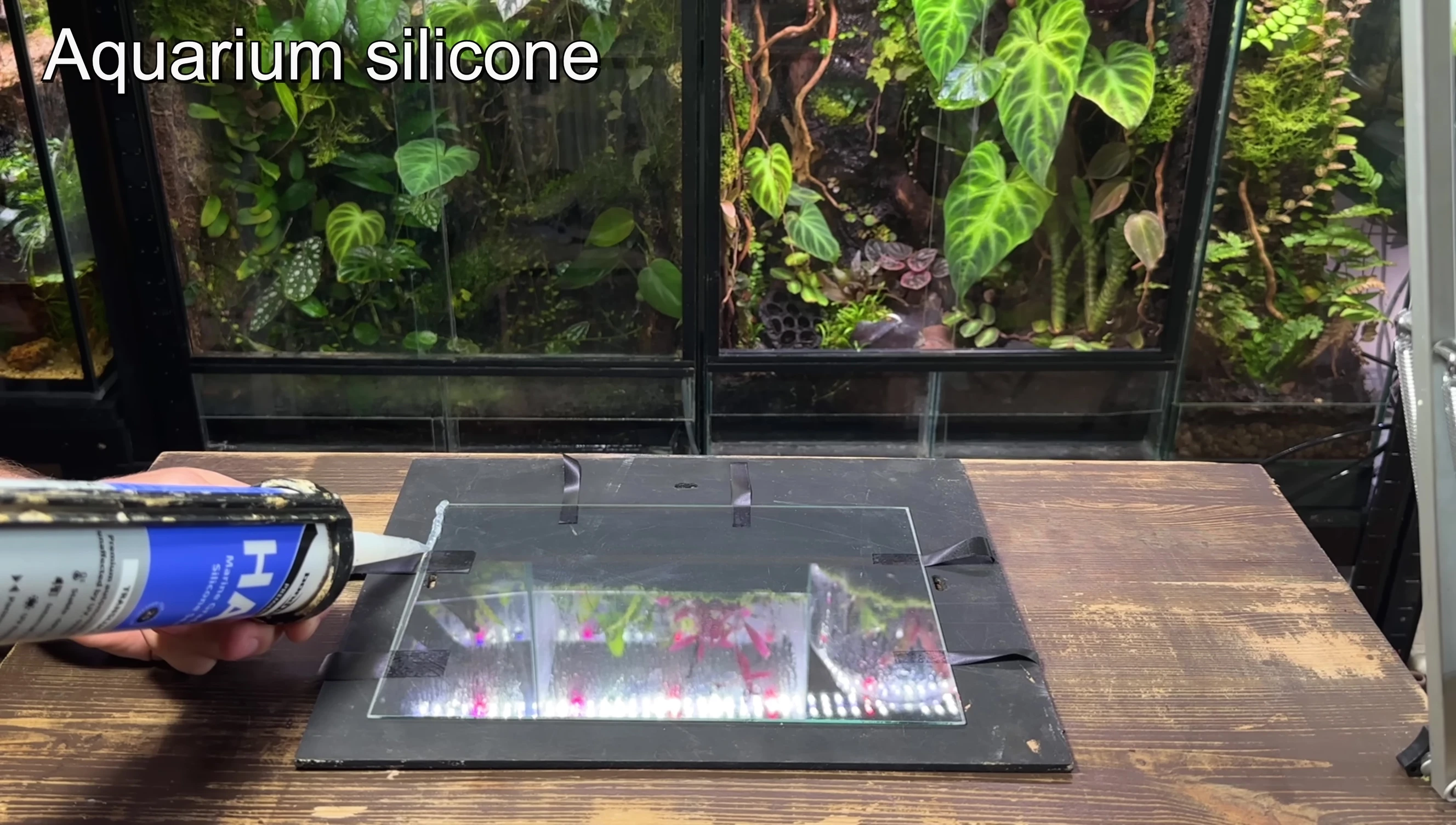 Applying silicone sealant to the glass edges