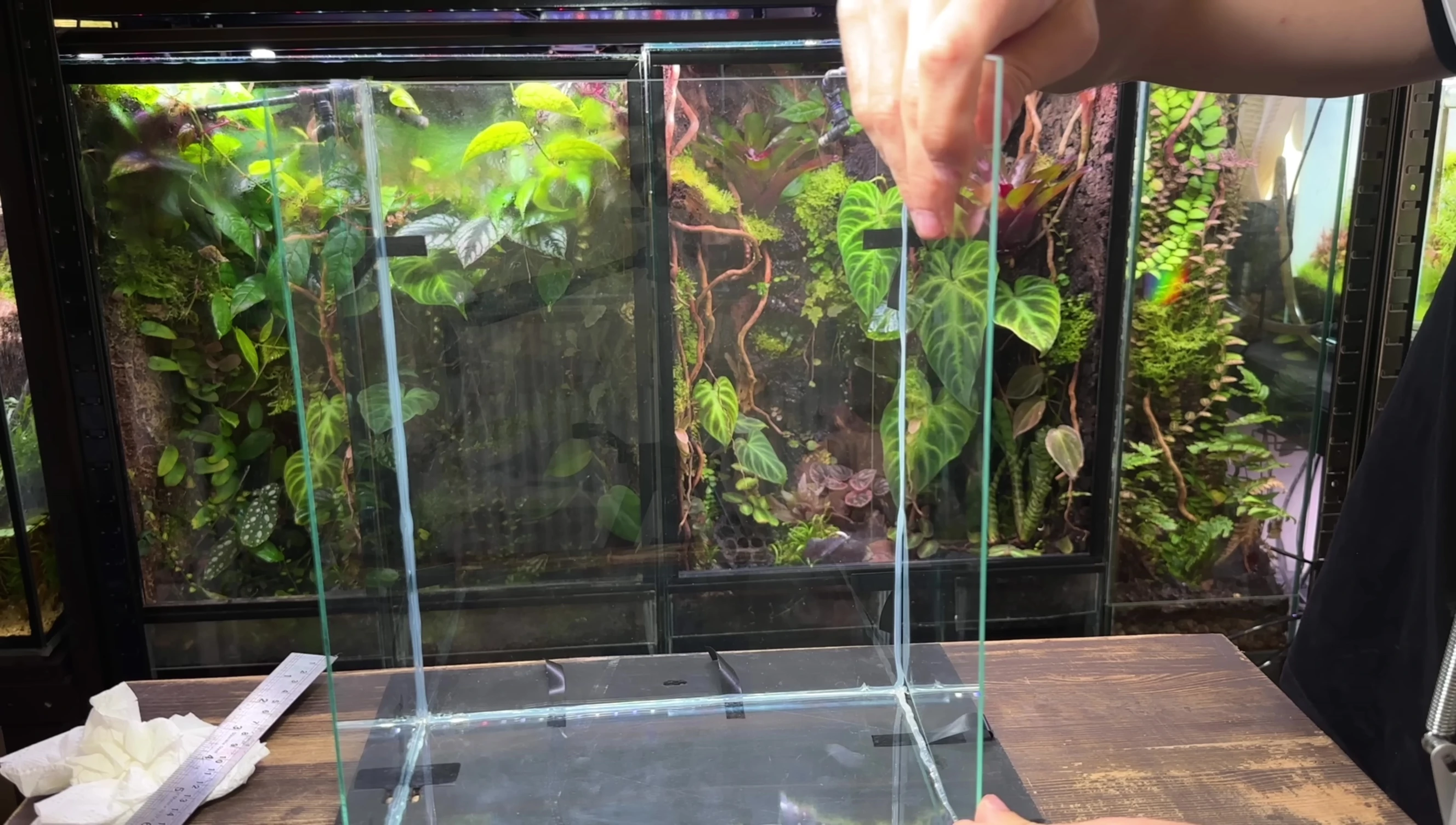 Assembling the glass terrarium