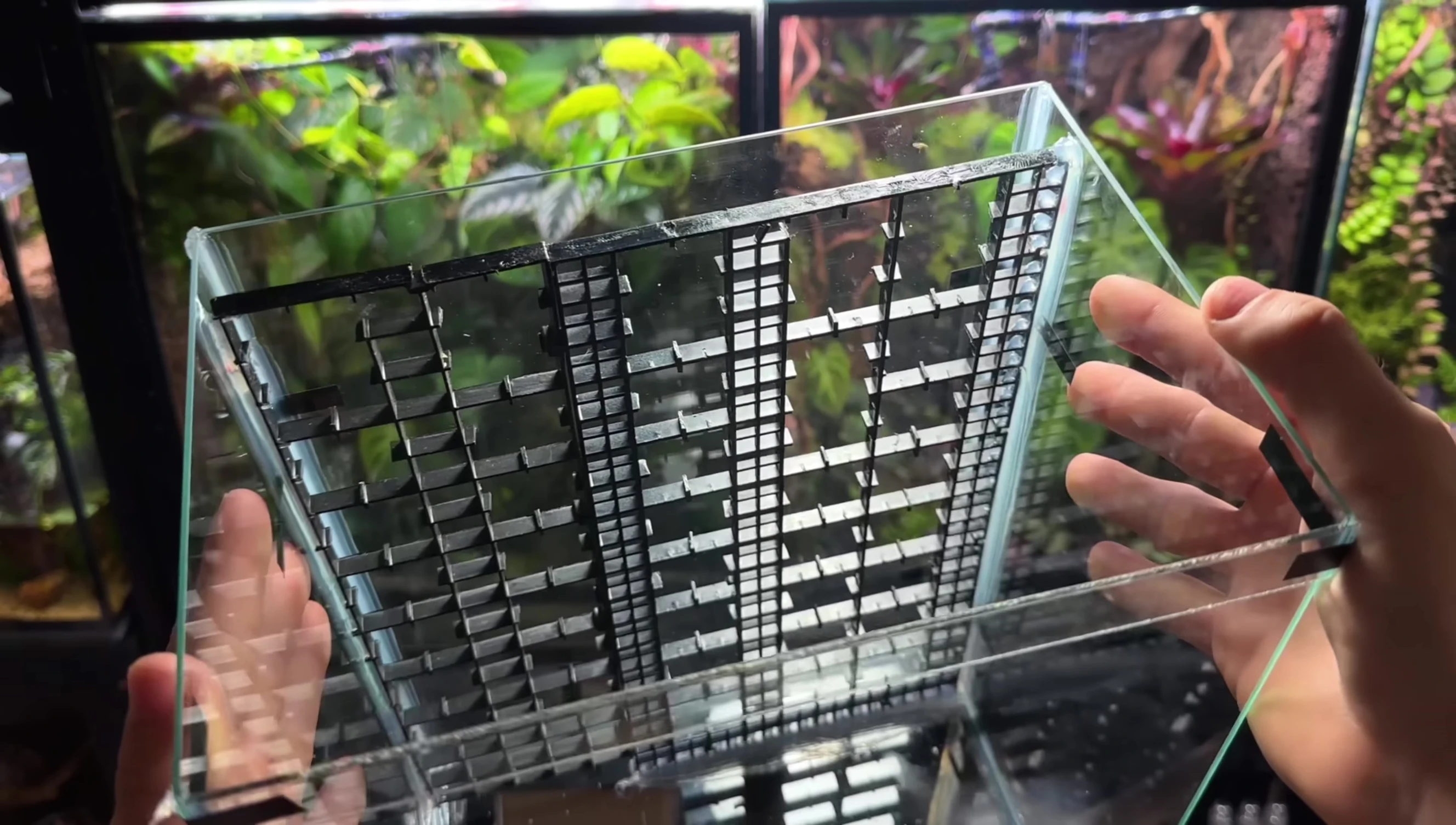 Adding the egg crate dividers to the back of the terrarium