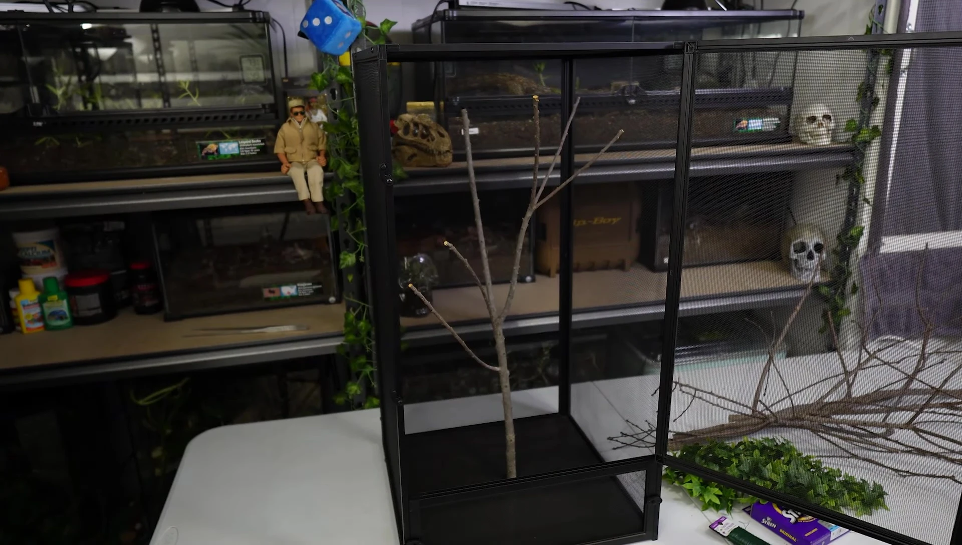 Examples of suitable branches and vines.