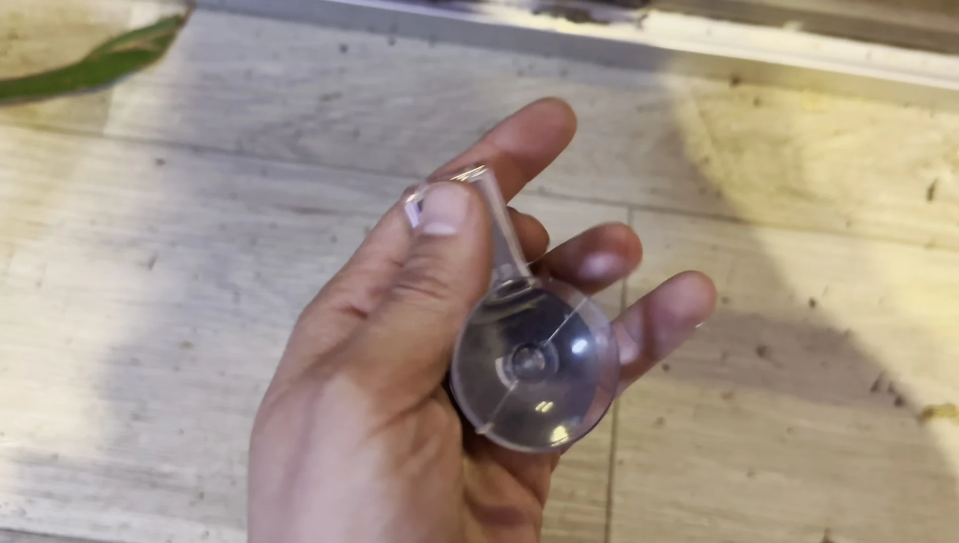 The reviewer gives a strong recommendation for the product