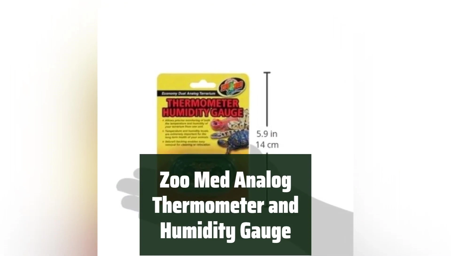 Zoomed Analog Thermometer and Humidity Gauge