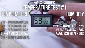 Best Reptile Thermostats & Hygrometers: Accuracy Test & Review
