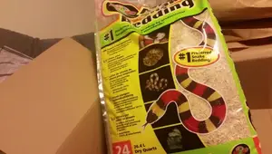 Aspen Bedding Review: Unboxing & Setup for Ball Pythons