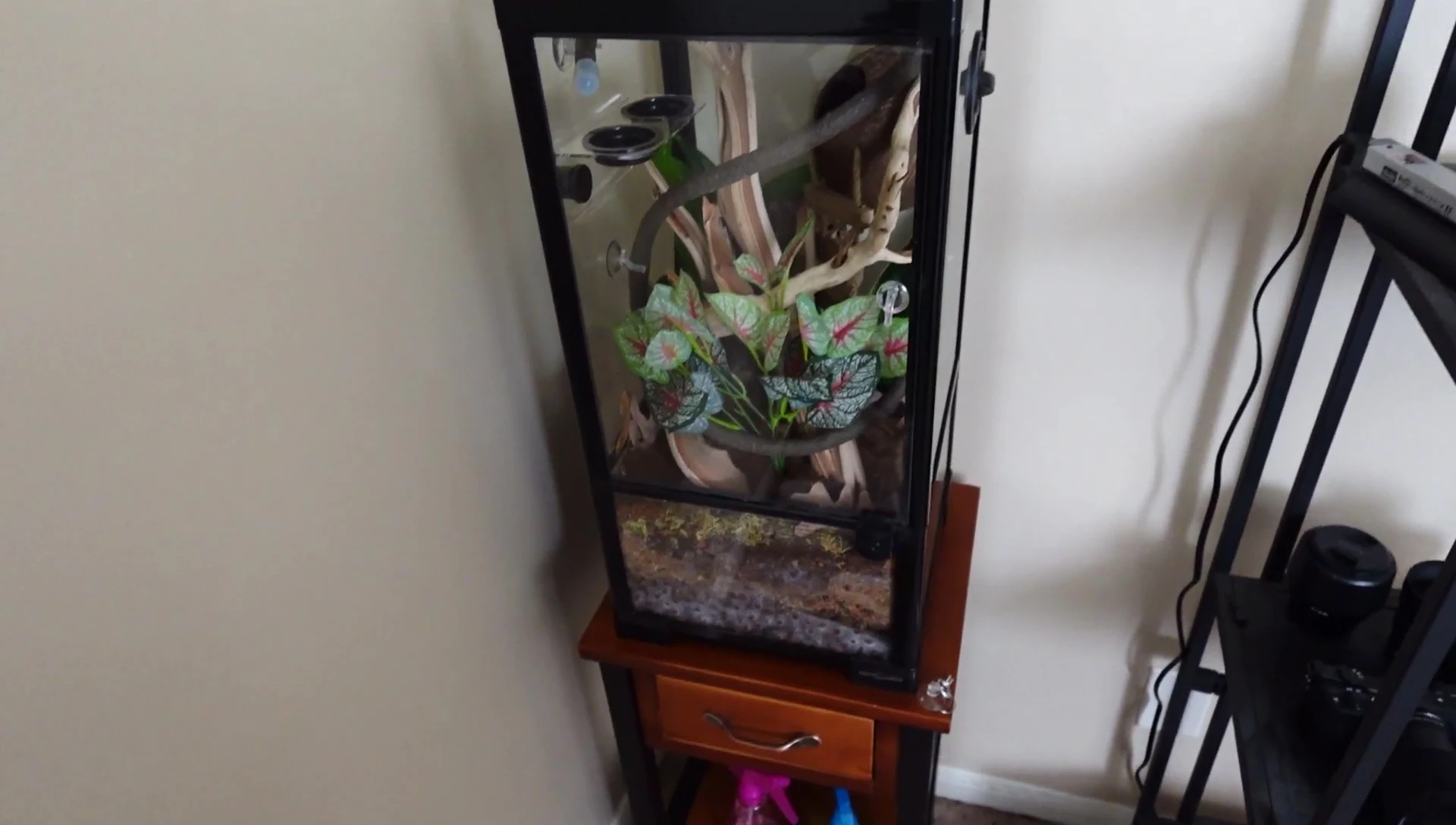 A full shot of the assembled terrarium, showcasing its vertical design.