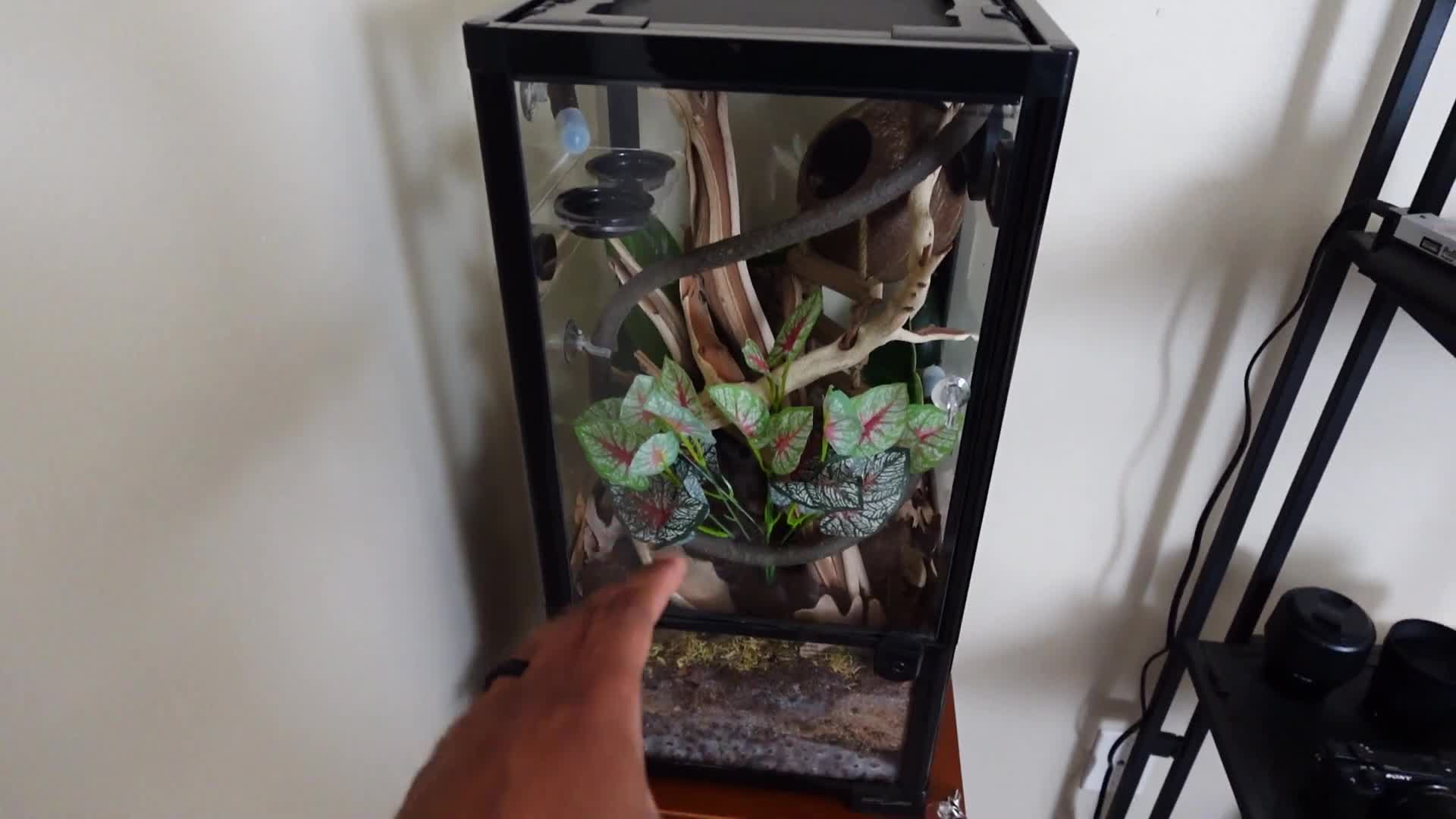 Close-up of the terrarium's partially assembled frame.