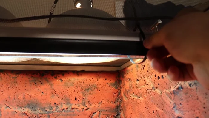 If using a screen-top enclosure, mounting the UVB bulb *inside* the enclosure with zip ties and cut holes in the screen is advised to increase UVB penetration.