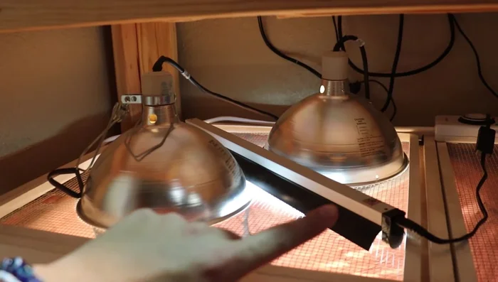 Use Arcadia 12% UVB if your basking spot is high (at least 12 inches away from the bulb). For screen-top enclosures, opt for the 14% UVB due to UVB loss through the mesh.