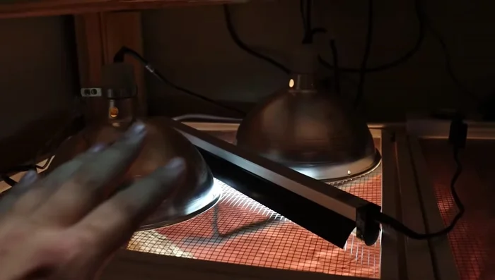 Maintain ambient temperature in the 80-90°F range. This provides a thermal gradient, allowing your dragon to regulate its body temperature.