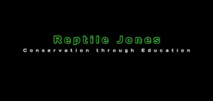 Reptile Bedding Review: Choosing the Right Substrate for Your Reptile