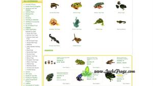 Josh's Frogs Bio Bedding Tropical: The Ultimate Bioactive Substrate for Reptiles and Amphibians