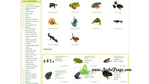 Josh's Frogs Bio Bedding Tropical: The Ultimate Bioactive Substrate for Reptiles and Amphibians