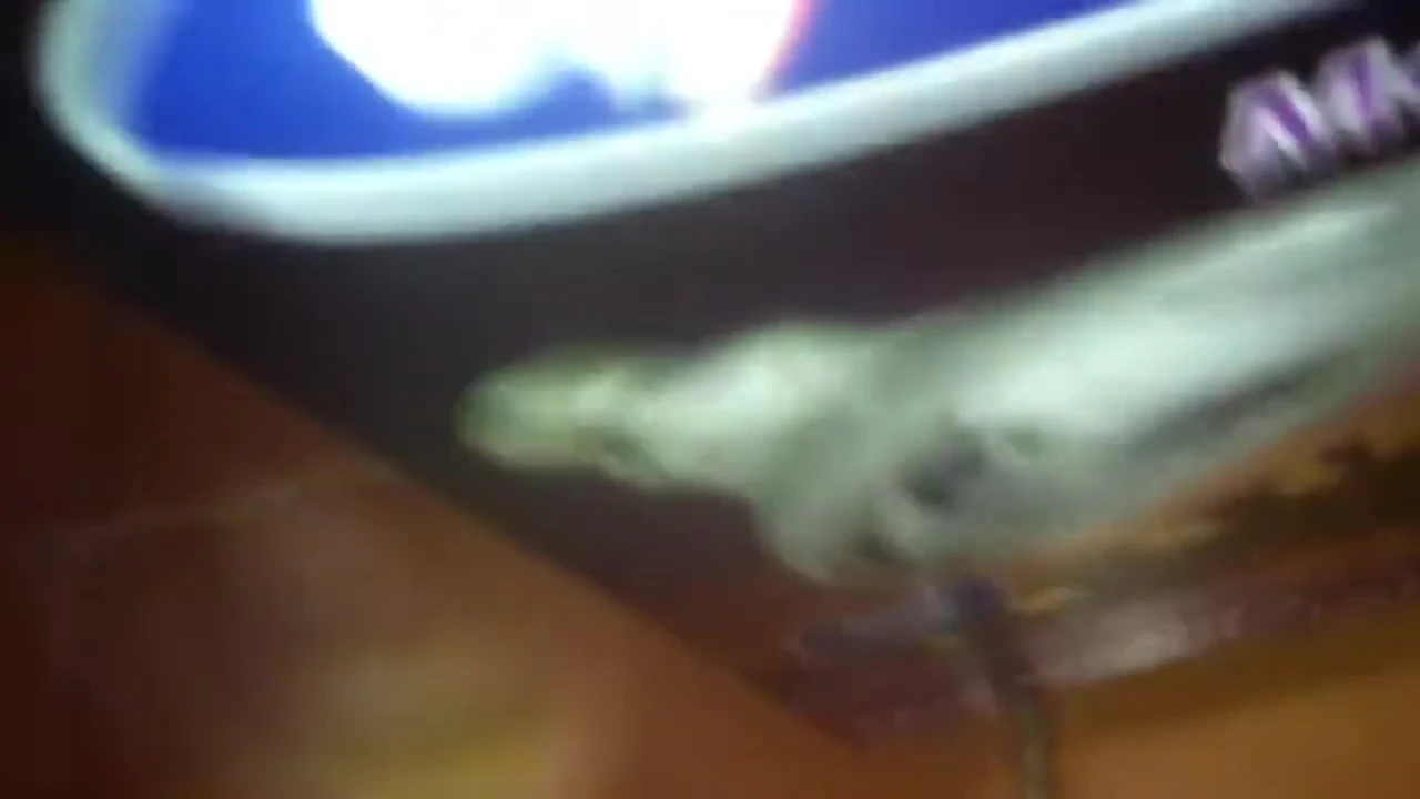 Close-up shot of the MegaRay 100W lamp showing no visible damage.