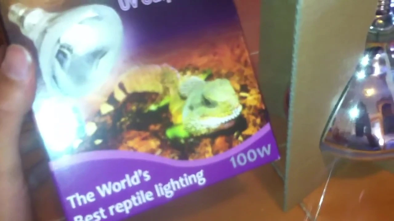 The speaker mentions the different wattages available, emphasizing that a 100W lamp was chosen