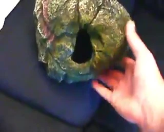 The reviewer describes the setup for a humid hide.