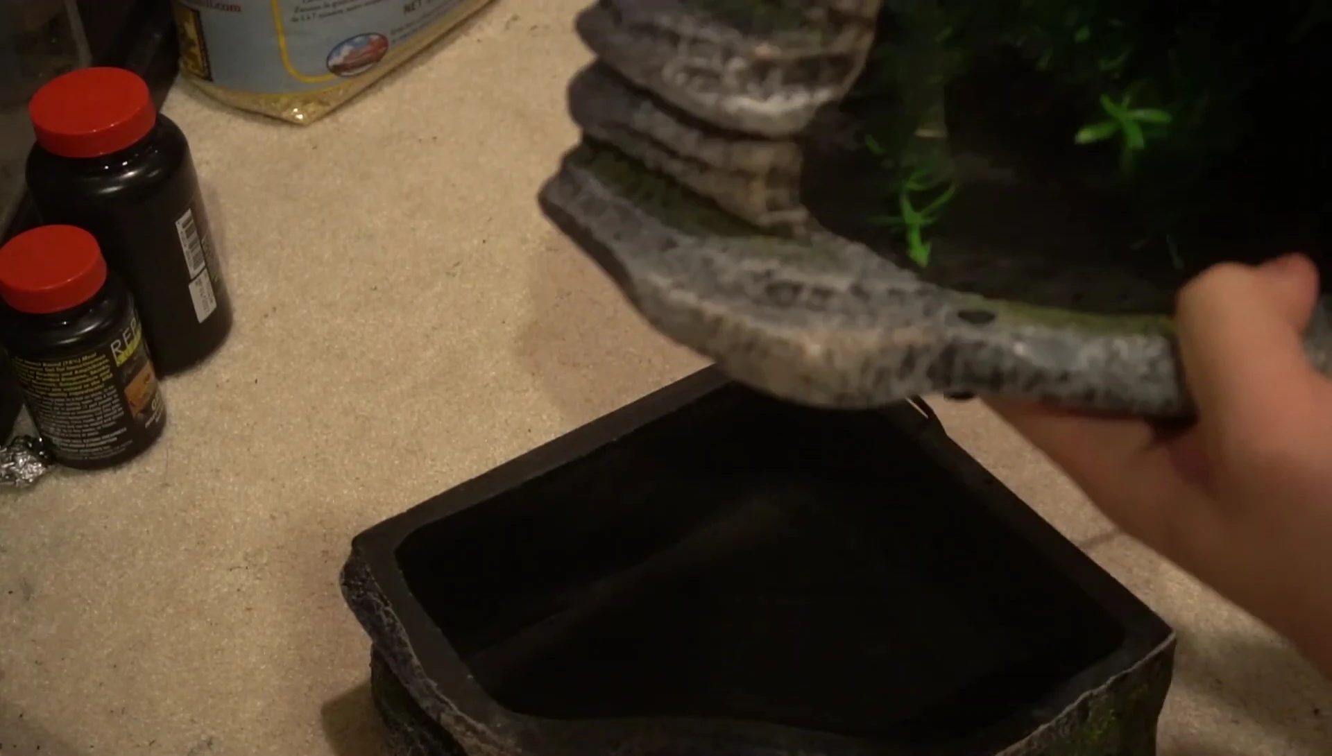 The reviewer points out the water channels and plant features