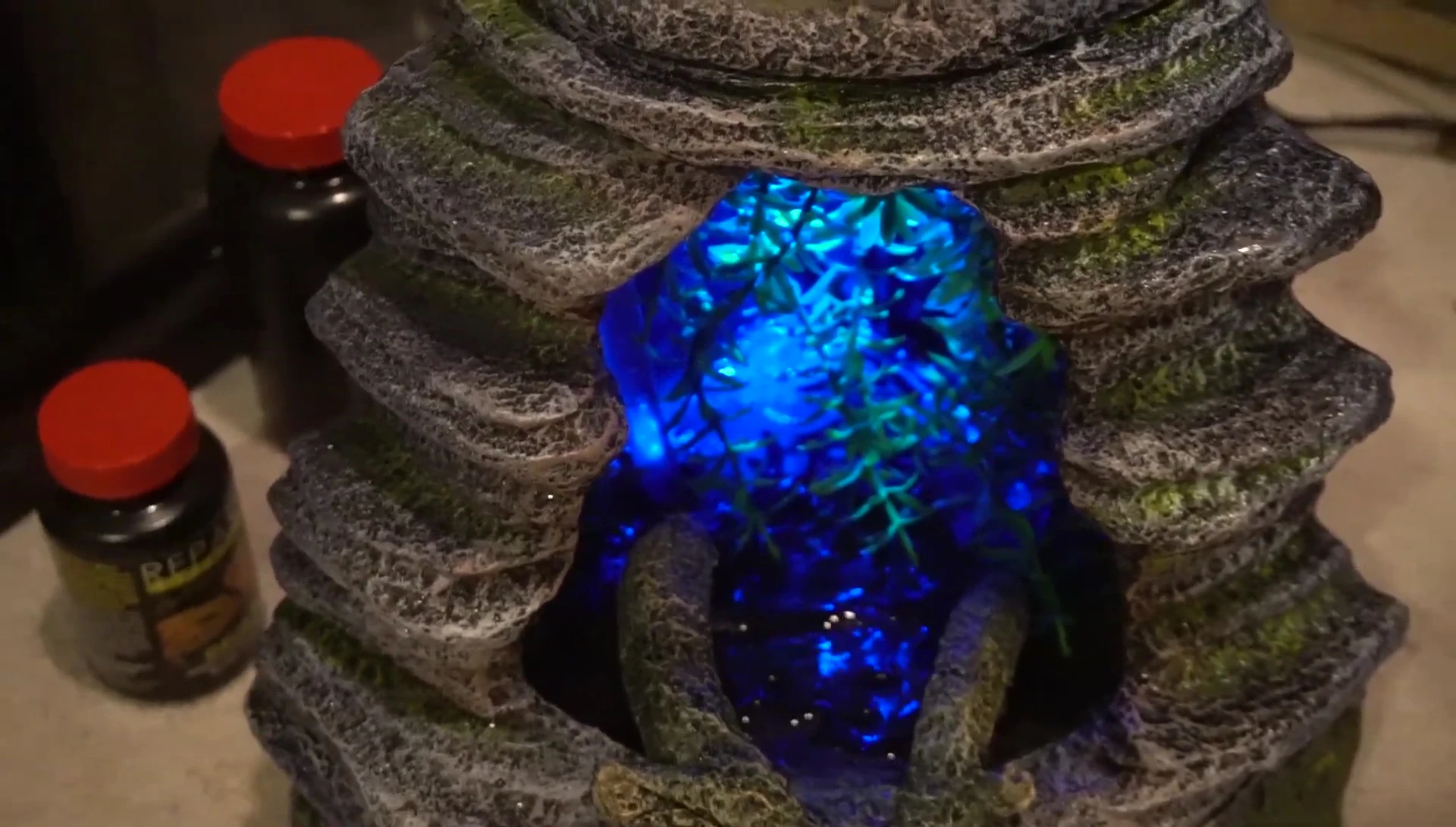 The Zilla Spring Cave in action within the terrarium