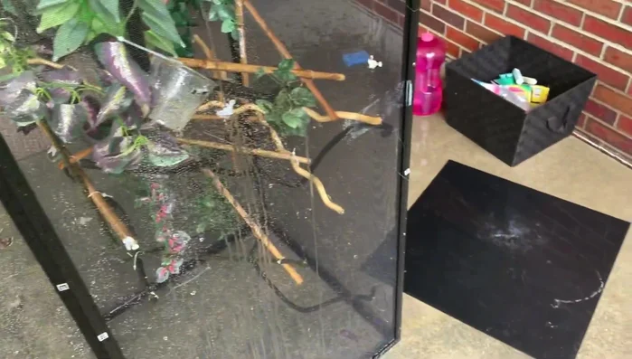 Use a bucket of soapy water and a sponge to wipe down the inside and outside of the enclosure, paying attention to edges and grooves.