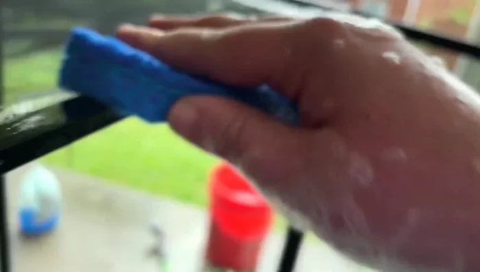 Use a bucket of soapy water and a sponge to wipe down the inside and outside of the enclosure, paying attention to edges and grooves.