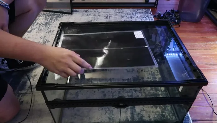 Install the heat mat. For adhesive mats, peel off the protective layer and stick it to the bottom of the enclosure. For non-adhesive mats, use duct tape to secure it to one side of the tank, creating a cool and a warm side.