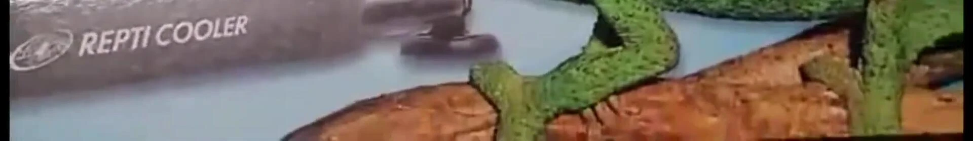 Price tag mentioned in the video
