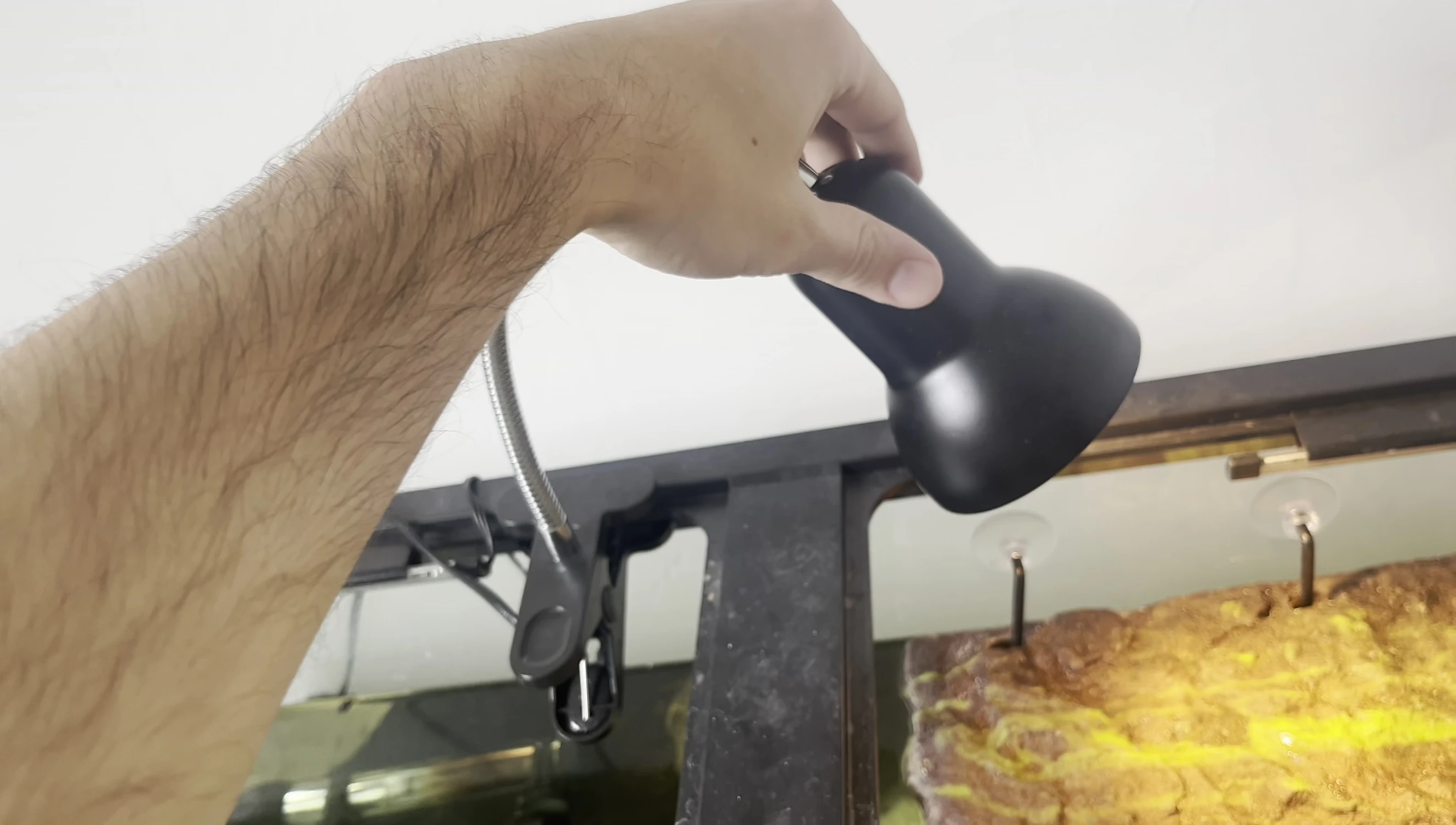 The hot light socket.