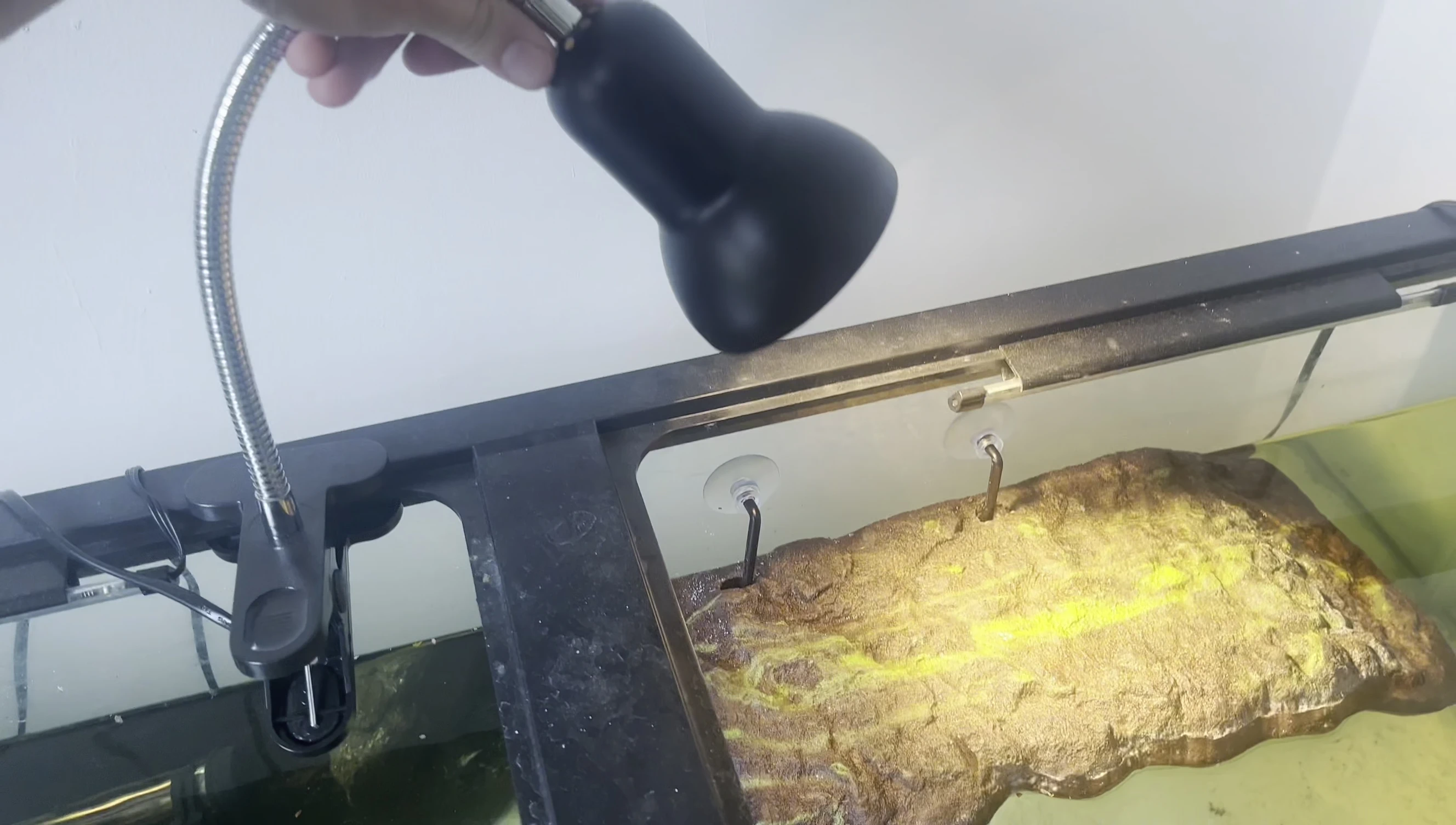 Demonstration of the adjustable arm's flexibility in positioning the lamp.