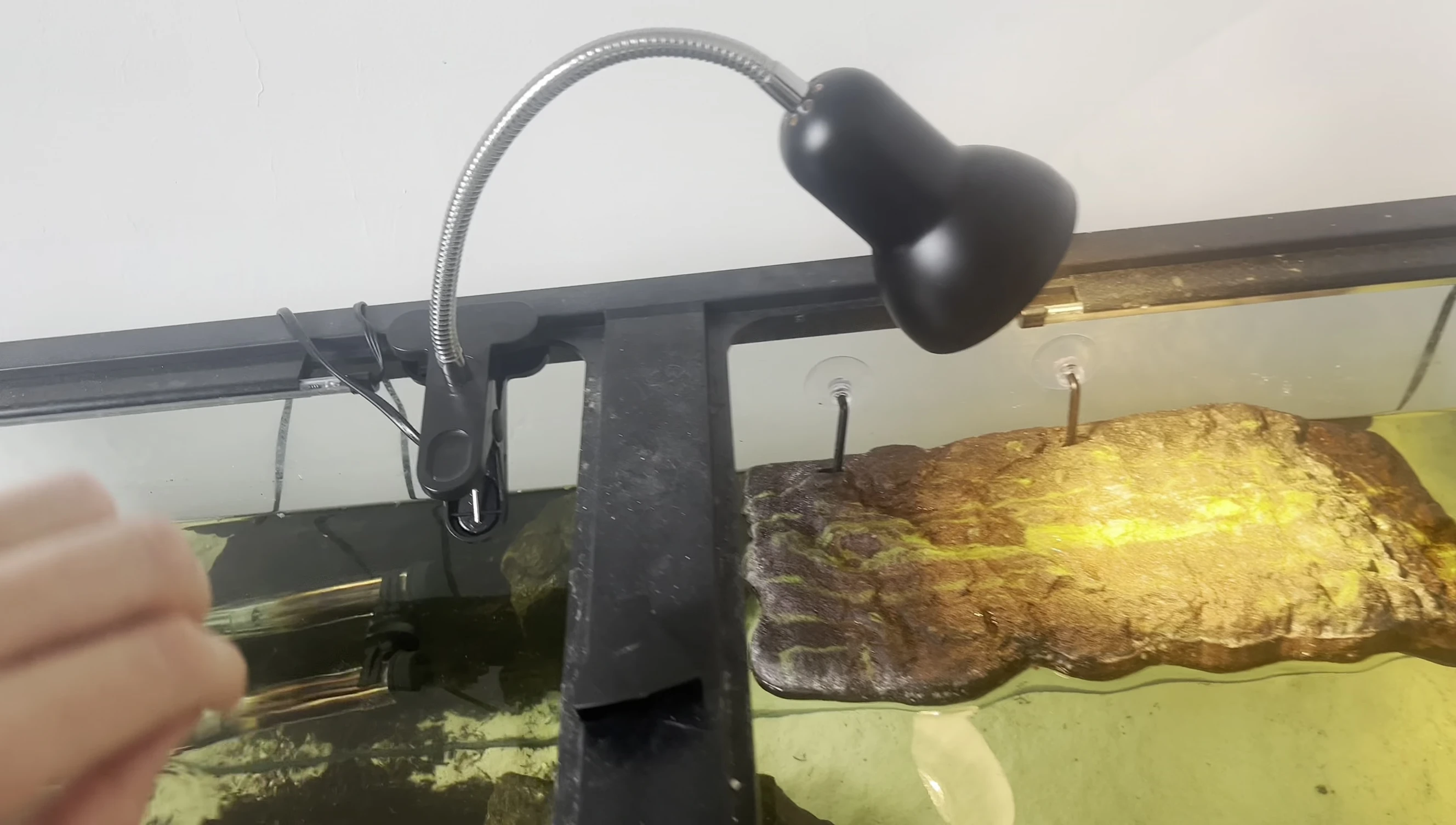 The adjustable knob used to control the light and heat output.