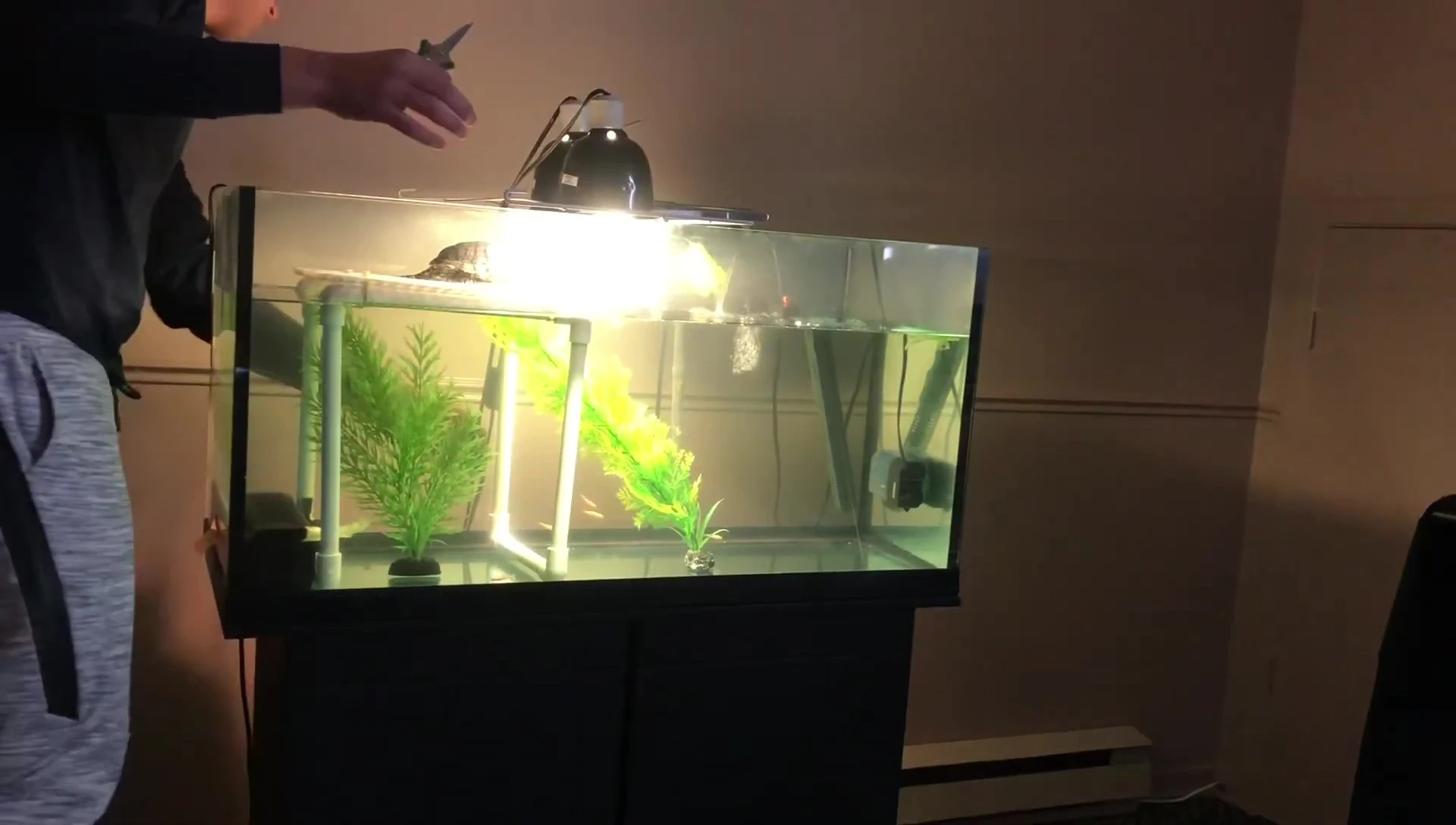 Completely clearing the tank's surface.