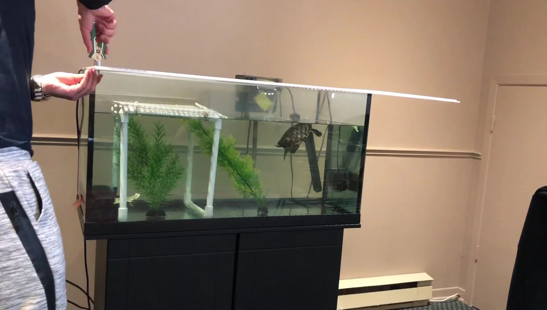 Creating a slight overhang for the basking dock.