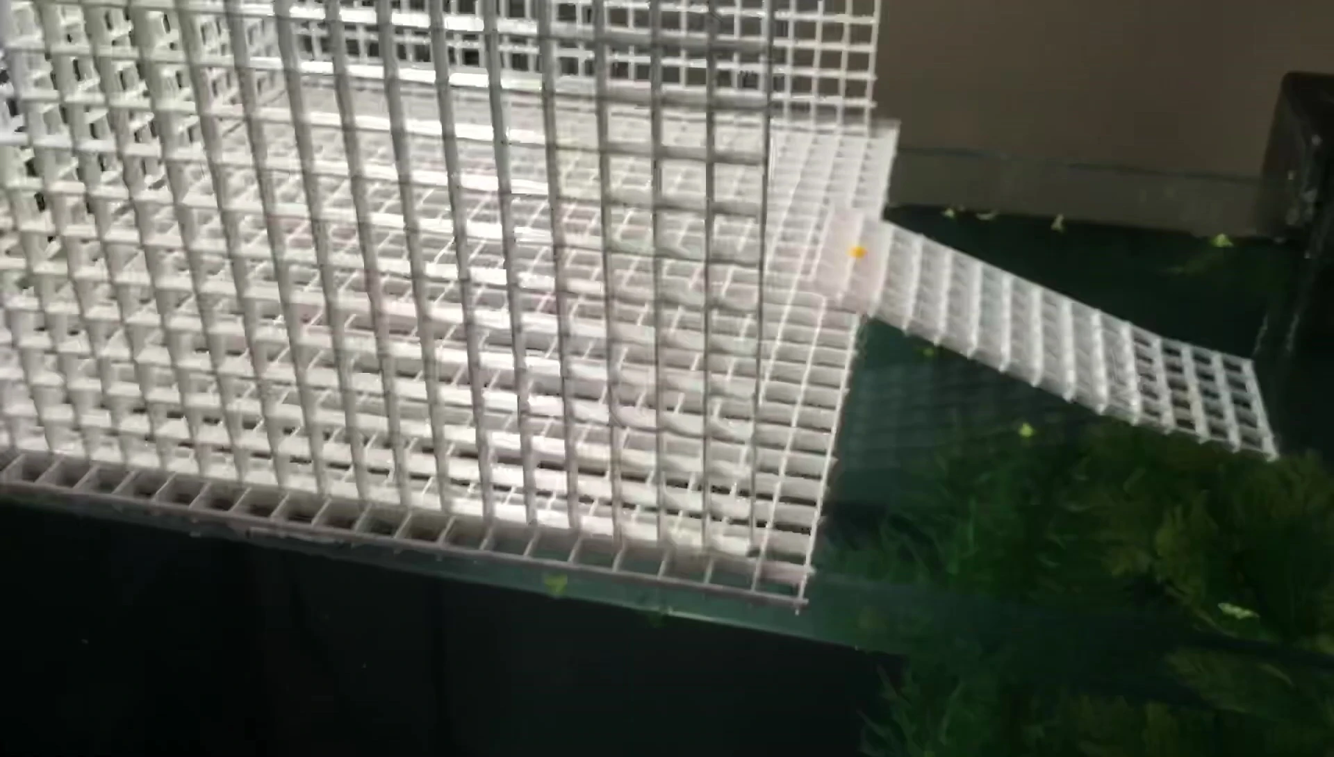 The finished DIY basking dock