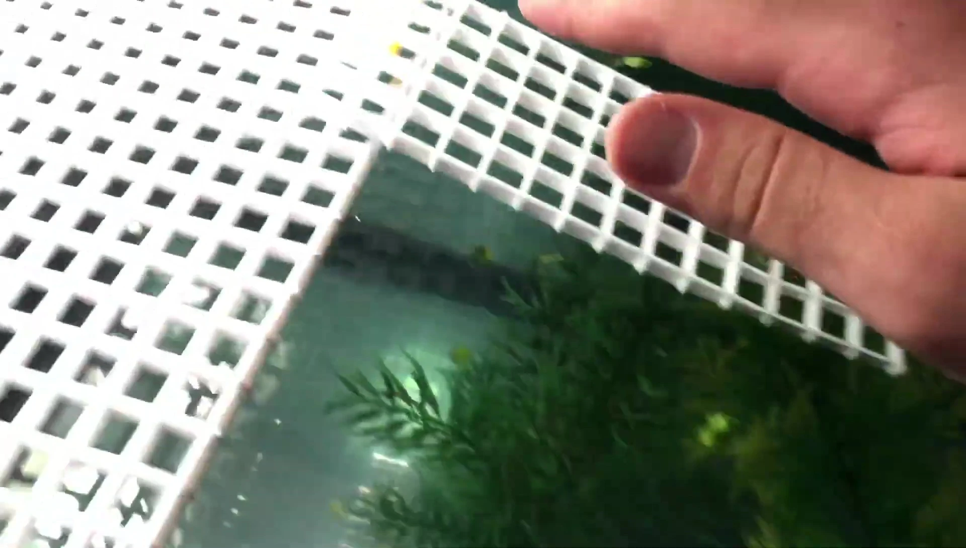 Attaching the basking dock to the tank using zip ties.