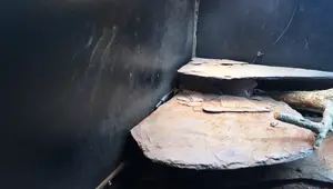 Optimal Reptile & Amphibian Enclosure Heating: Separating Radiation & Temperature Control