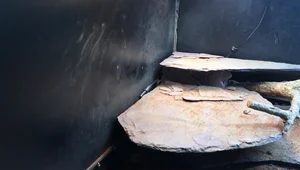 Optimal Reptile & Amphibian Enclosure Heating: Separating Radiation & Temperature Control